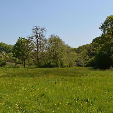 Aldridge Mill Hotell Oakford Exteriör bild