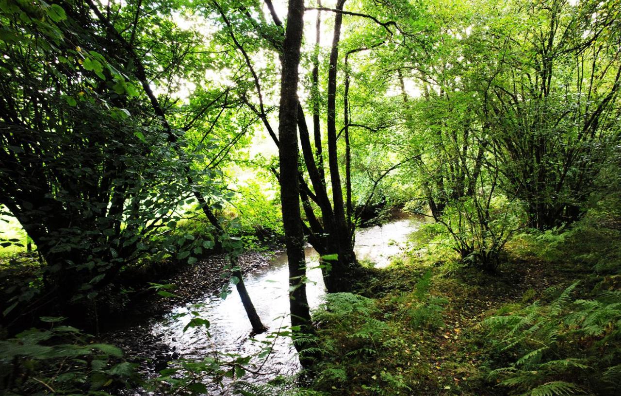 Aldridge Mill Hotell Oakford Exteriör bild